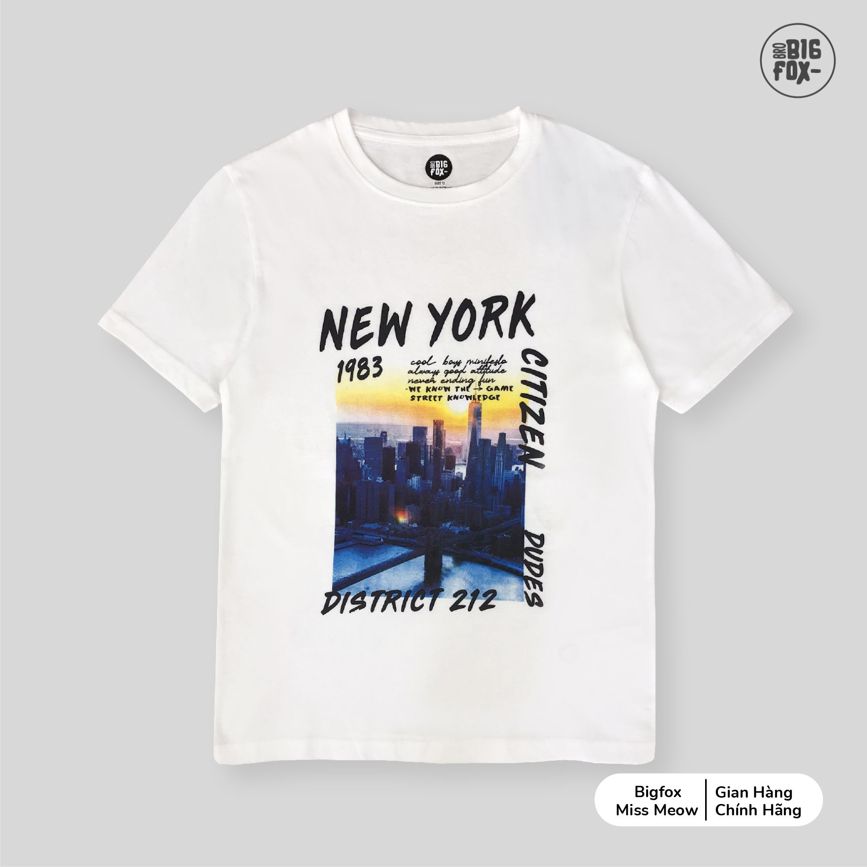 Áo bé trai cộc tay BIGFOX - MISS MEOW size đại vải cotton mềm mịn mặc mùa hè in New York cỡ trẻ em 12,13,14,15 tuổi từ 40 - 57kg