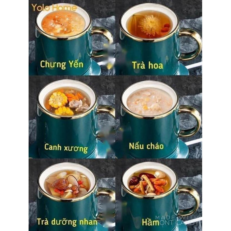 Cốc chưng yến - Cốc văn phòng - Cốc hầm đa năng