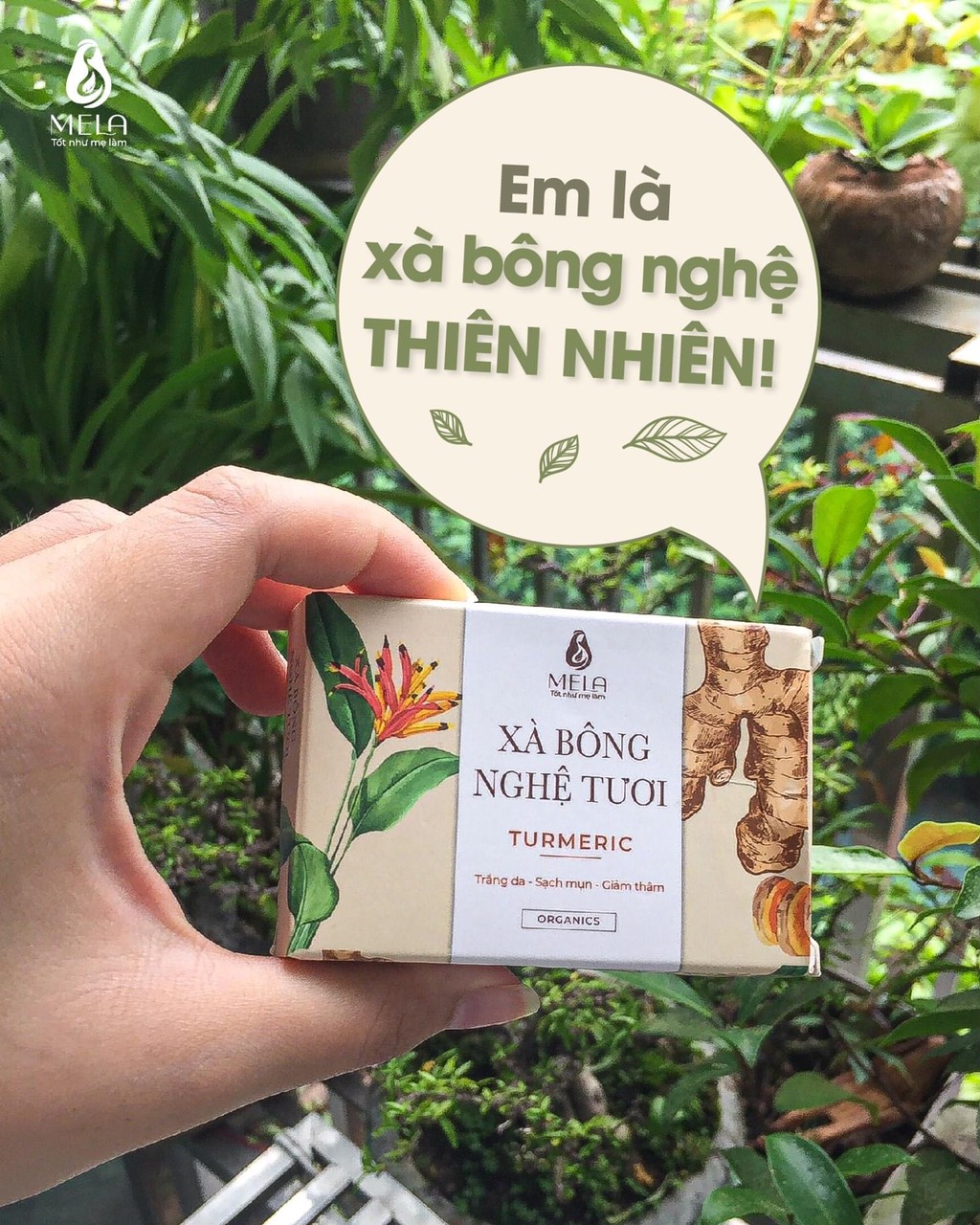 Xà bông tắm nghệ tươi