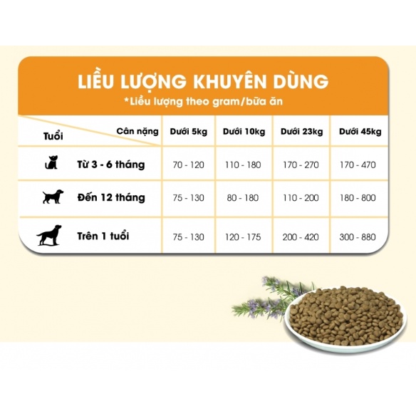 40g- GIFT THỨC ĂN HẠT CHO CHÓ DOG MANIA