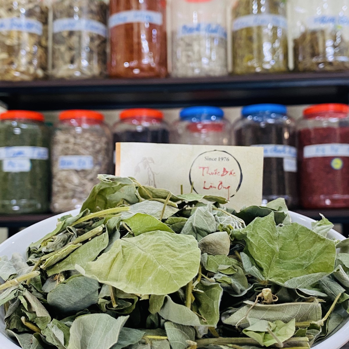 Kim tiền thảo khô 1kg, hỗ trợ giảm sỏi thận, sỏi mật, giảm tiểu rắt, tiểu buốt, tốt cho đường tiết niệu