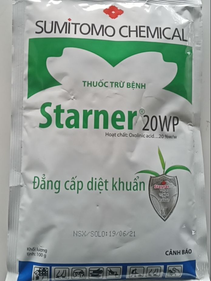 Starner 20wp gói 100gr đặc trừ vi khuẩn