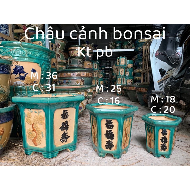 Chậu vuông vát cạnh /chậu trồng cây bonsai/chậu trồng cây cảnh /chậu trồng cây kiểng