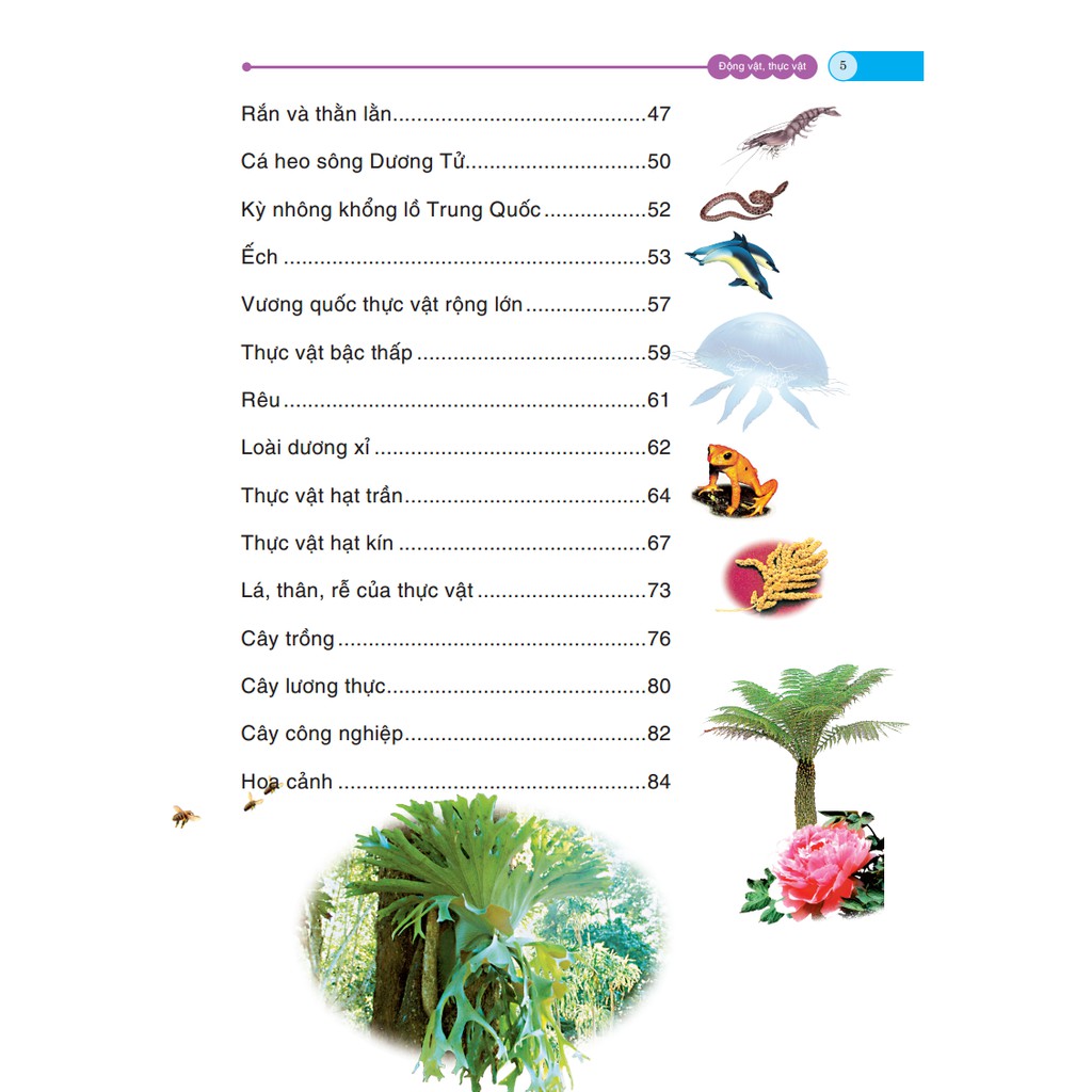 Sách - Động Vật Thực Vật(Bách Khoa Tri Thức Cho Trẻ Em)(Bìa Cứng)