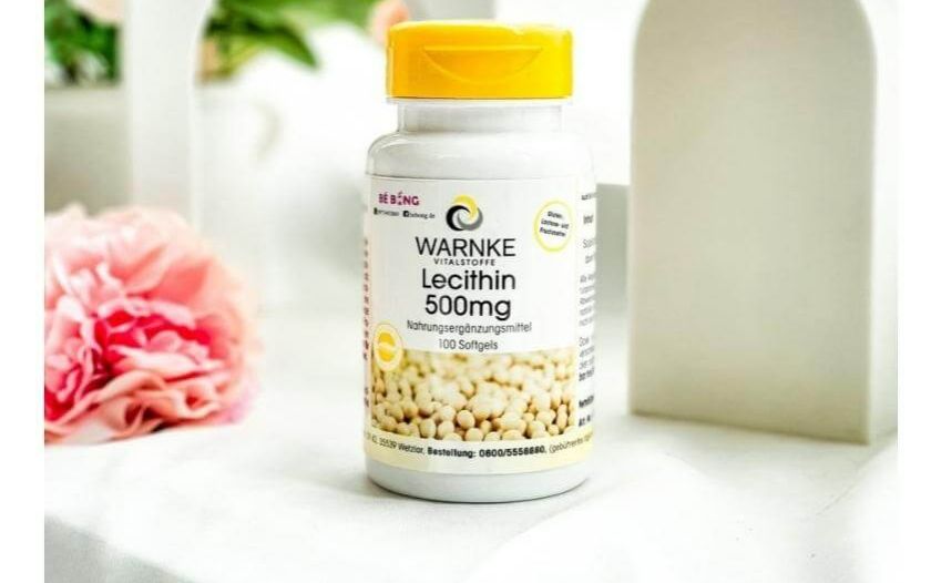Warnke Vitalstoffe Lecithin 500mg, 100 Capsules, Soy Lecithin