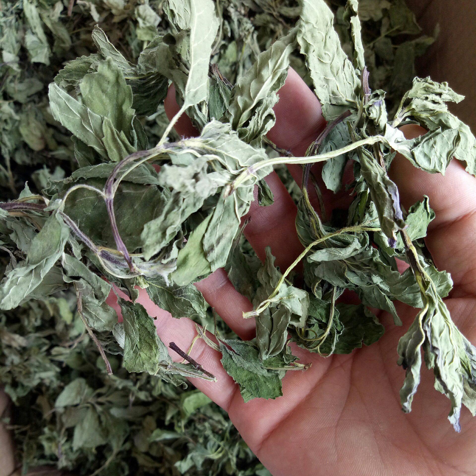 [HCM]TRÀ BẠC HÀ SẤY LẠNH CAO CẤP 100G