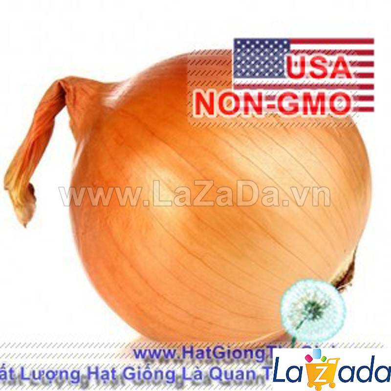 0.3Gr Hạt Giống Hành Củ Vàng Texas Grano (TLA0| C24*W21*M216)