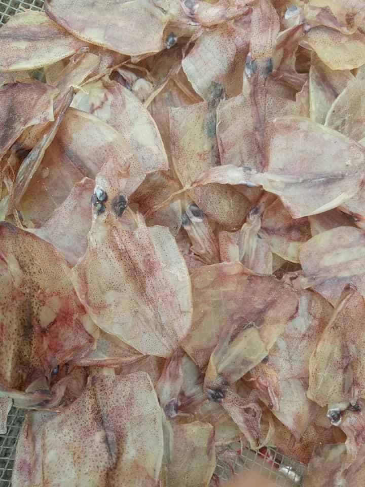 1KG KHÔ MỰC ĐỒNG TIỀN CÀ MAU
