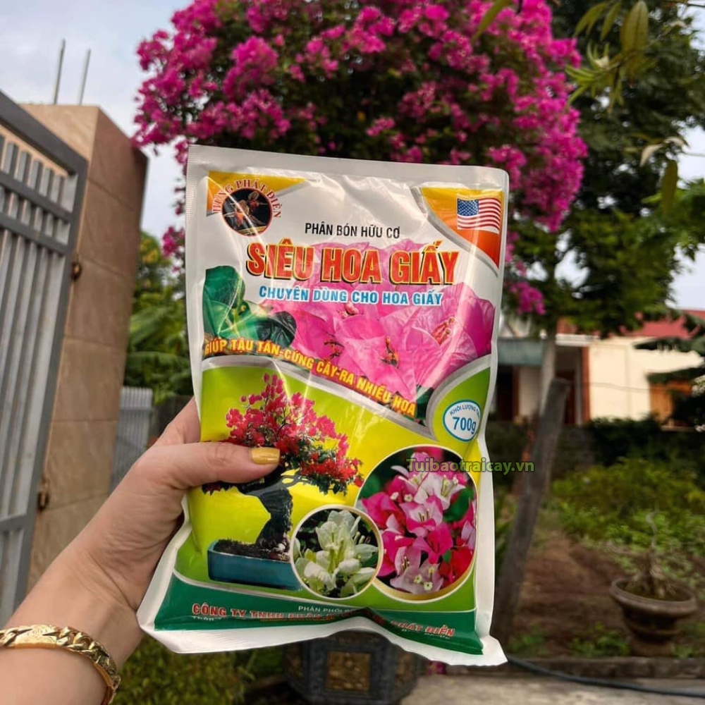 Phân bón hoa giấy, phân bón lá cao cấp siêu ra hoa