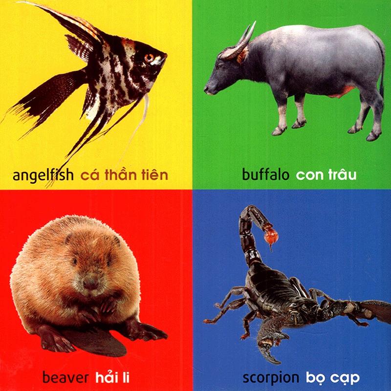 Sách: 101 First Words - Animals /101 Từ Đầu Tiên - Động Vật (TB)
