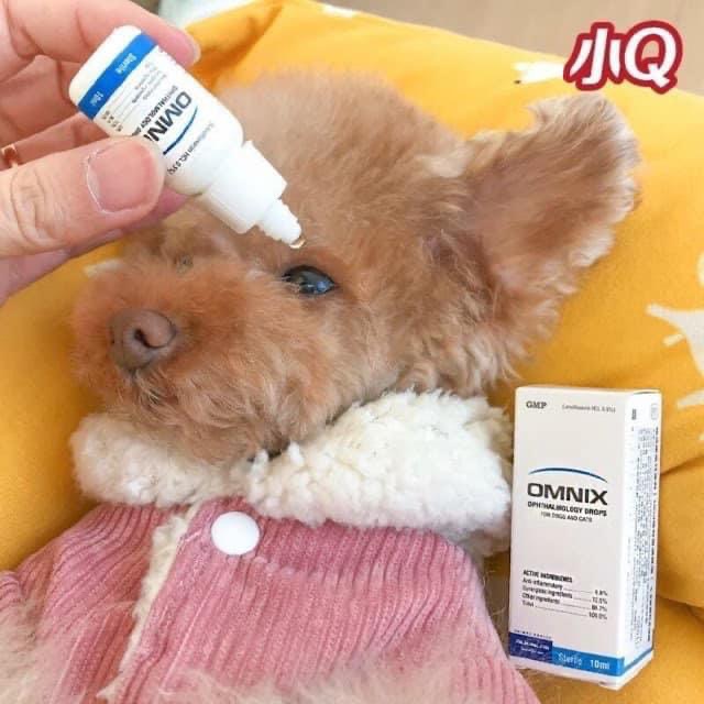 [HCM]Alkin Omnix nhỏ mắt chó mèo / Lọ 10ml