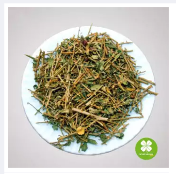 Cây cà gai leo (gói 1kg khô) - LV025