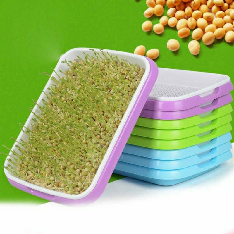 Khay trồng rau mầm thủy canh chuyên dụng, giá trồng rau mầm