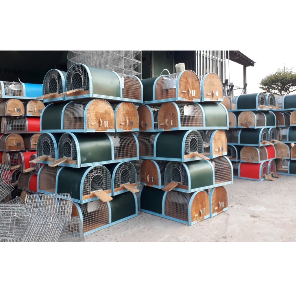 [hàng thủ công] Bẫy chuột thông minh [ ẢNH THẬT ] [ SHOP TỰ CHỤP ]
