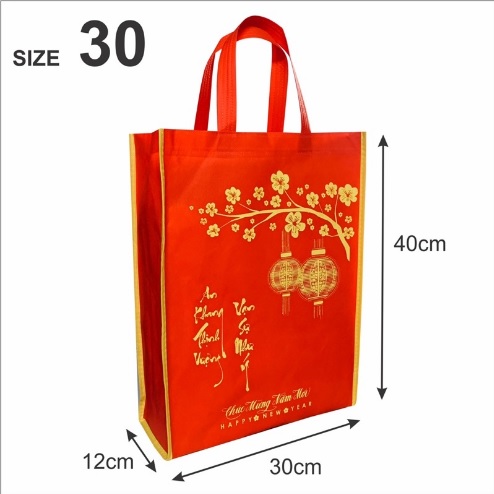 (HCM) Giỏ Quà Biếu Tặng (Đã Gồm Túi Đựng)