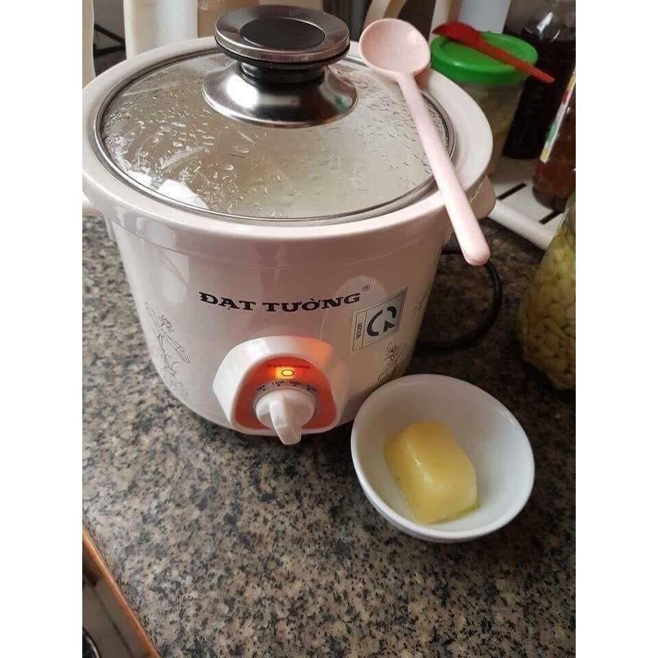 Nồi kho cá nấu cháo hầm đa năng Đạt Tường 2.5L