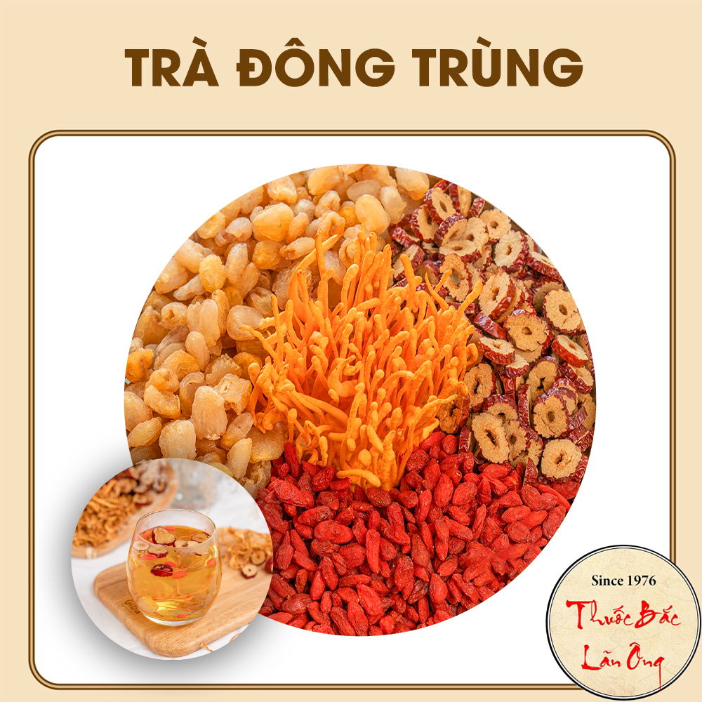 Trà đông trùng hạ thảo set mix sẵn, trà thảo mộc gồm: Táo đỏ, long nhãn, đông trùng hạ thảo, kỳ tử