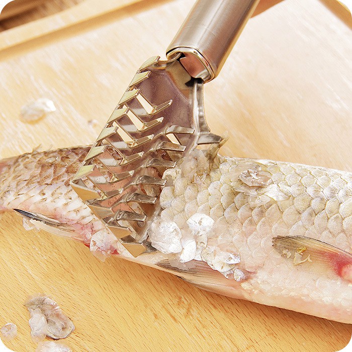 Dụng Cụ Lóc Đánh Vảy Cá Inox Thép Không Gỉ Bền Dụng Cụ Nhà Bếp