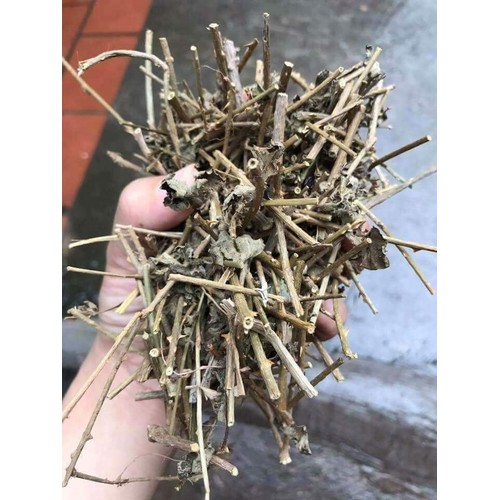 Trà Cà gai leo SAPA (sấy khô) gói 1 kg dùng thử