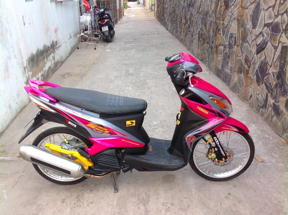 Chi tiết nhiều hơn 80 luvias fi kiểng không thể bỏ qua 45 Bảo Lộc Bán Off Gl Luvias Kiểng Click49 Bảo Lộc Đà Lạt Lâm Đồng