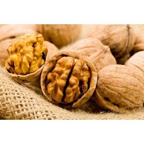 [HCM]1kg Quả Óc Chó Nhập Khẩu