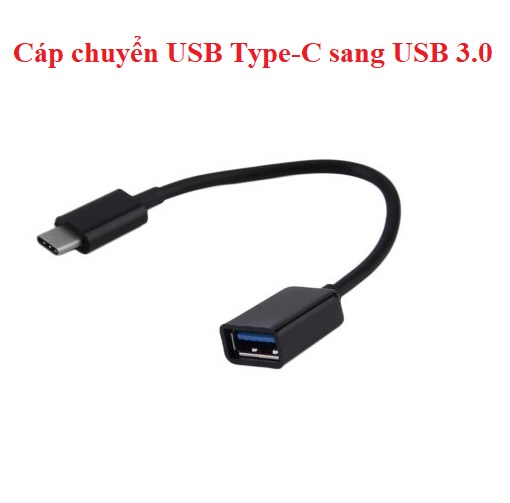 Cáp chuyển USB Type-C sang USB 3.0 âm