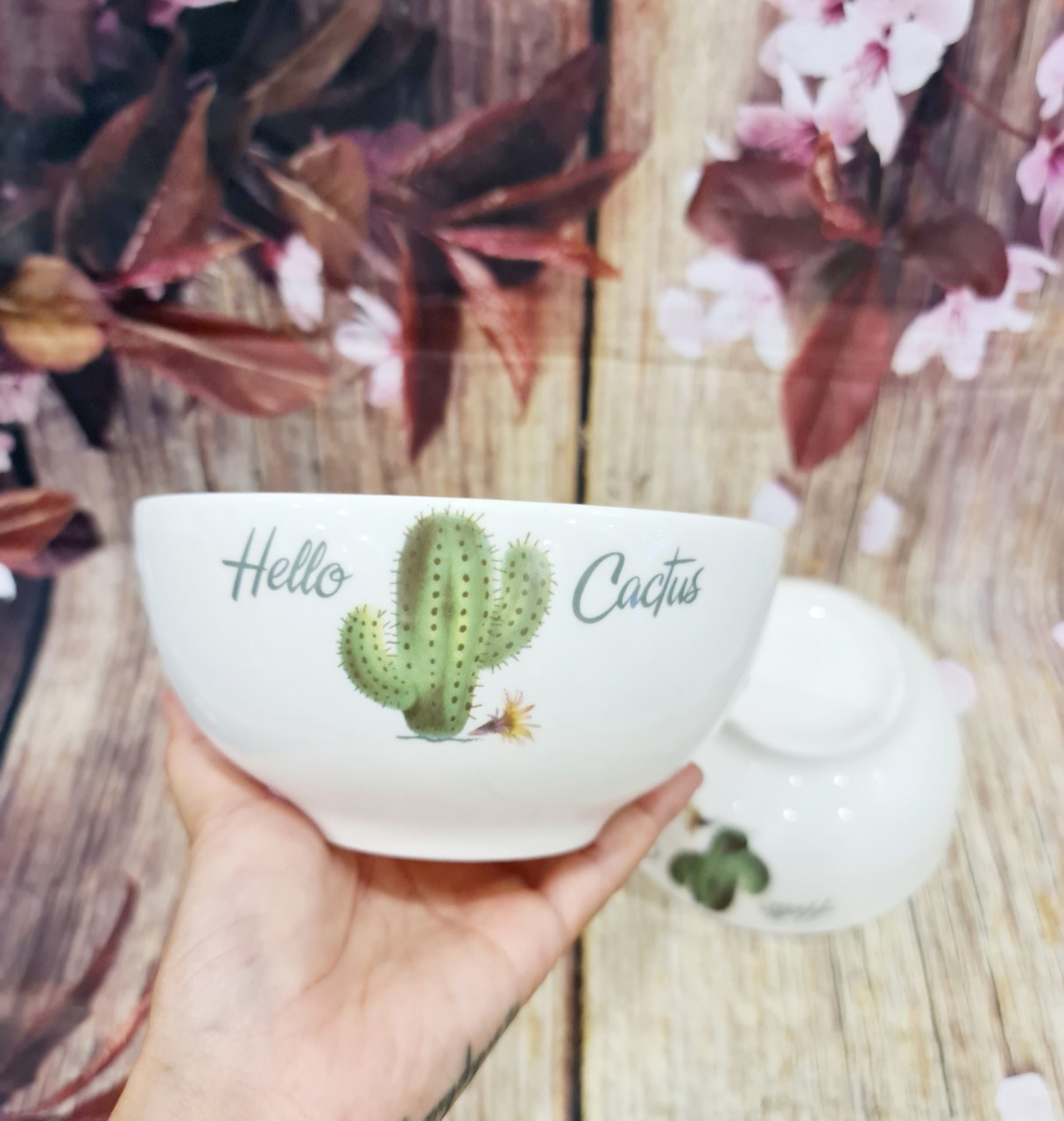 Tô sứ trắng - tô sứ
