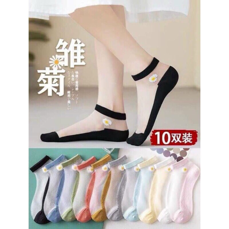 Tất nữ hoa cúc họa mi hot trend
