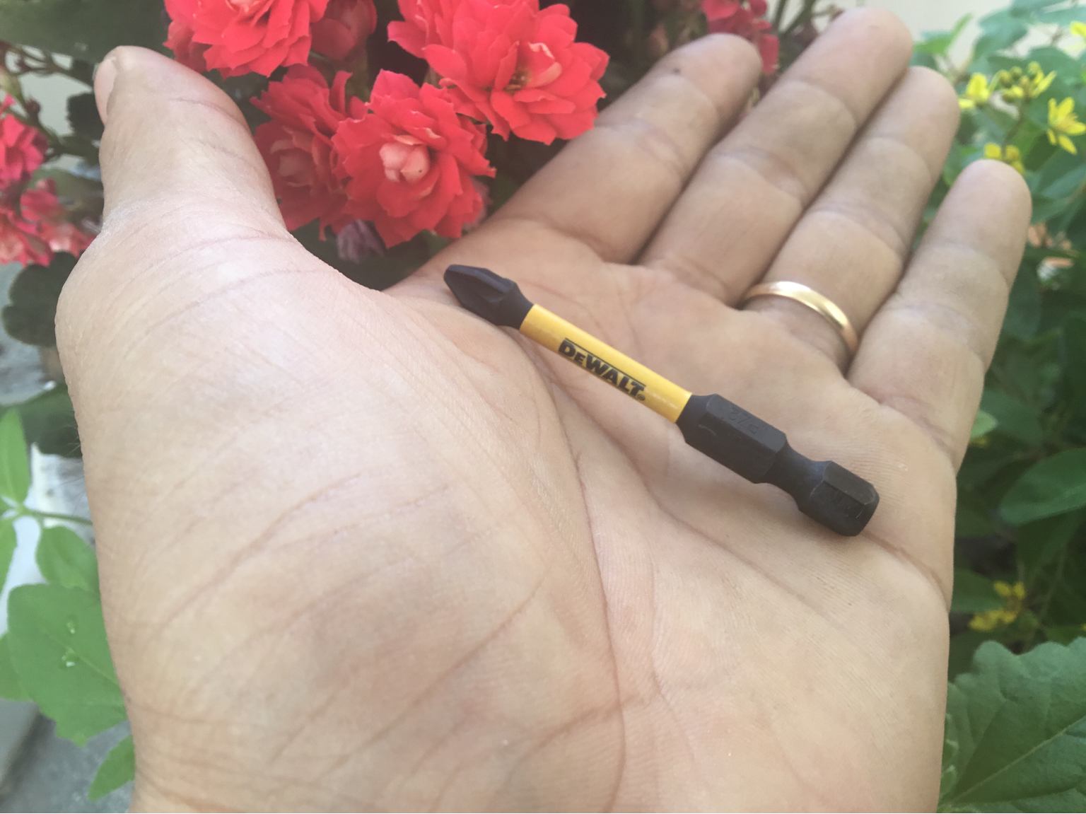 [HCM]Mũi Vít DeWalt Chính Hãng pz2-58mm