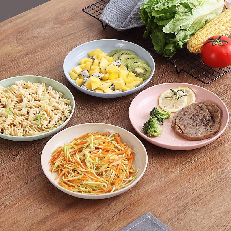 Set 4 đĩa lúa mạch size 20 siêu to khổng lồ
