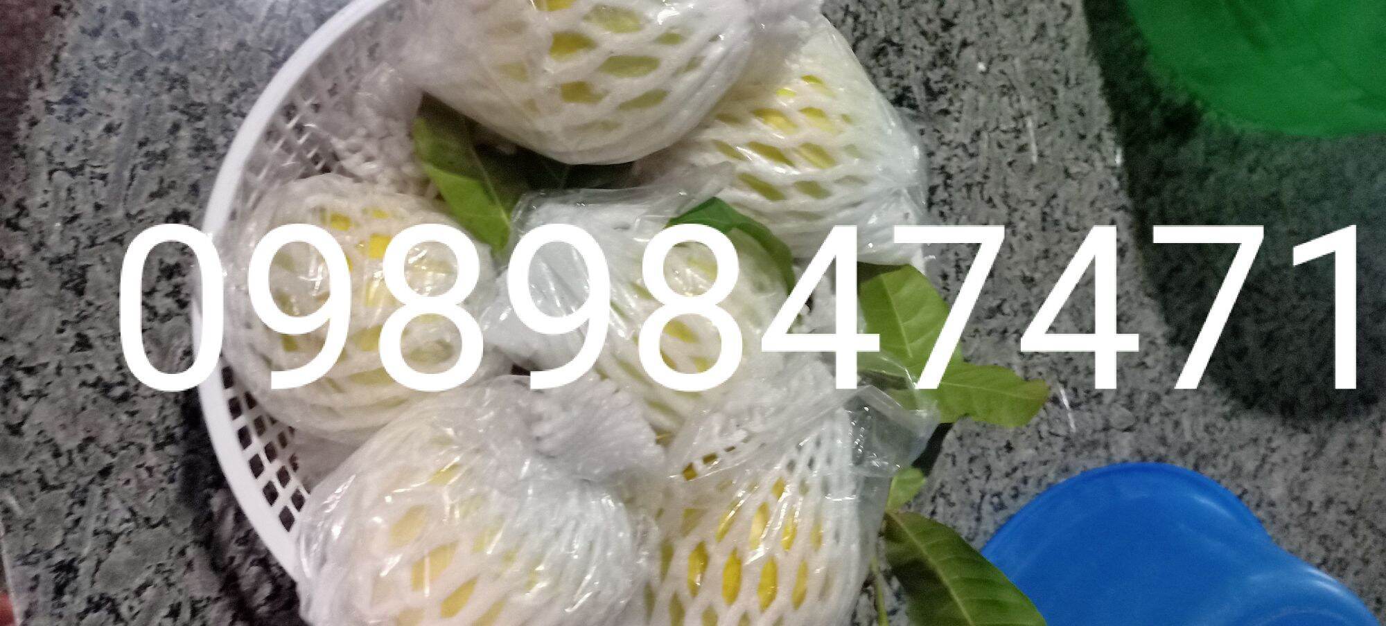 Cây vú sữa hoàng kim