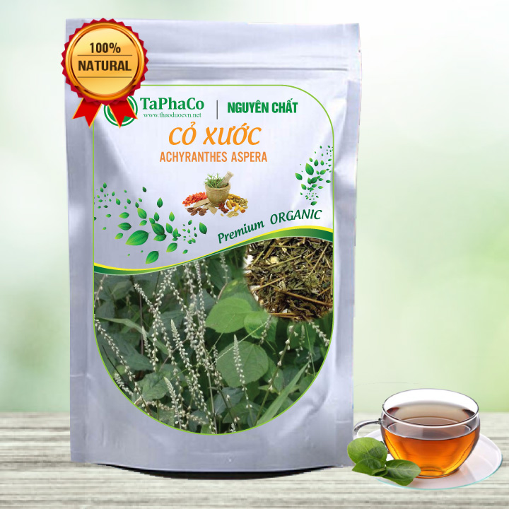 Cây cỏ xước khô 1kg - Tấn Phát