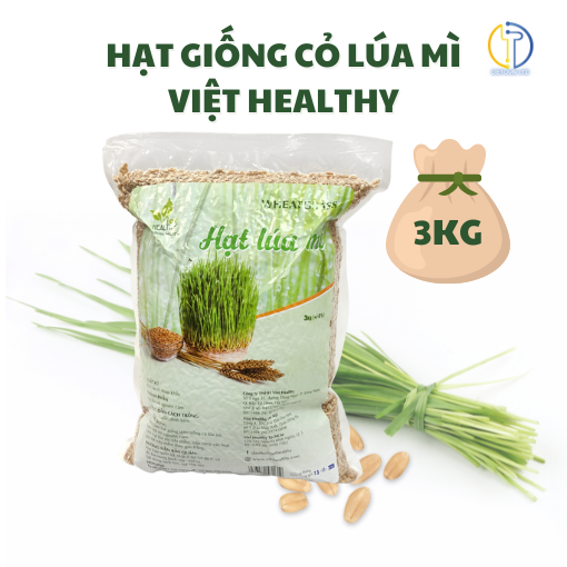 Hạt giống cỏ lúa mì (Wheatgrass) Viet Healthy nhập khẩu Australia (túi hút chân không 1kg-3kg)