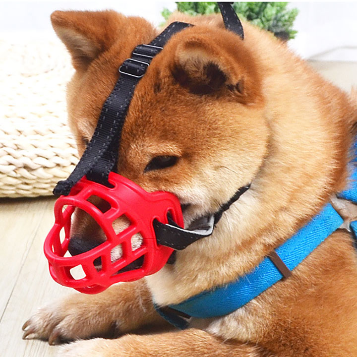 Rọ mõm silicon Panda Dành cho chó