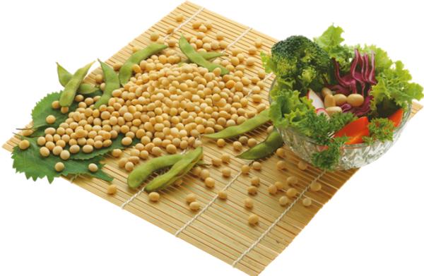 Đậu Nành Sấy Giòn 2kg Bò Đội Nón