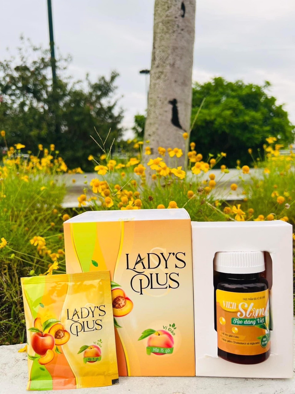 TRÀ ĐÀO GIẢM CÂN LADY PLUS  [Tặng kèm hộp thải độc]
