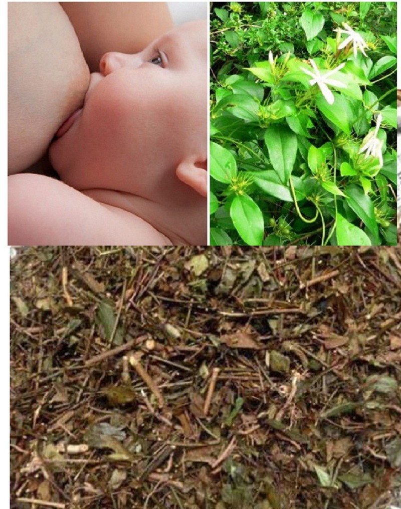 [HCM]CHÈ VẰNG LÁ SẺ 500Gram