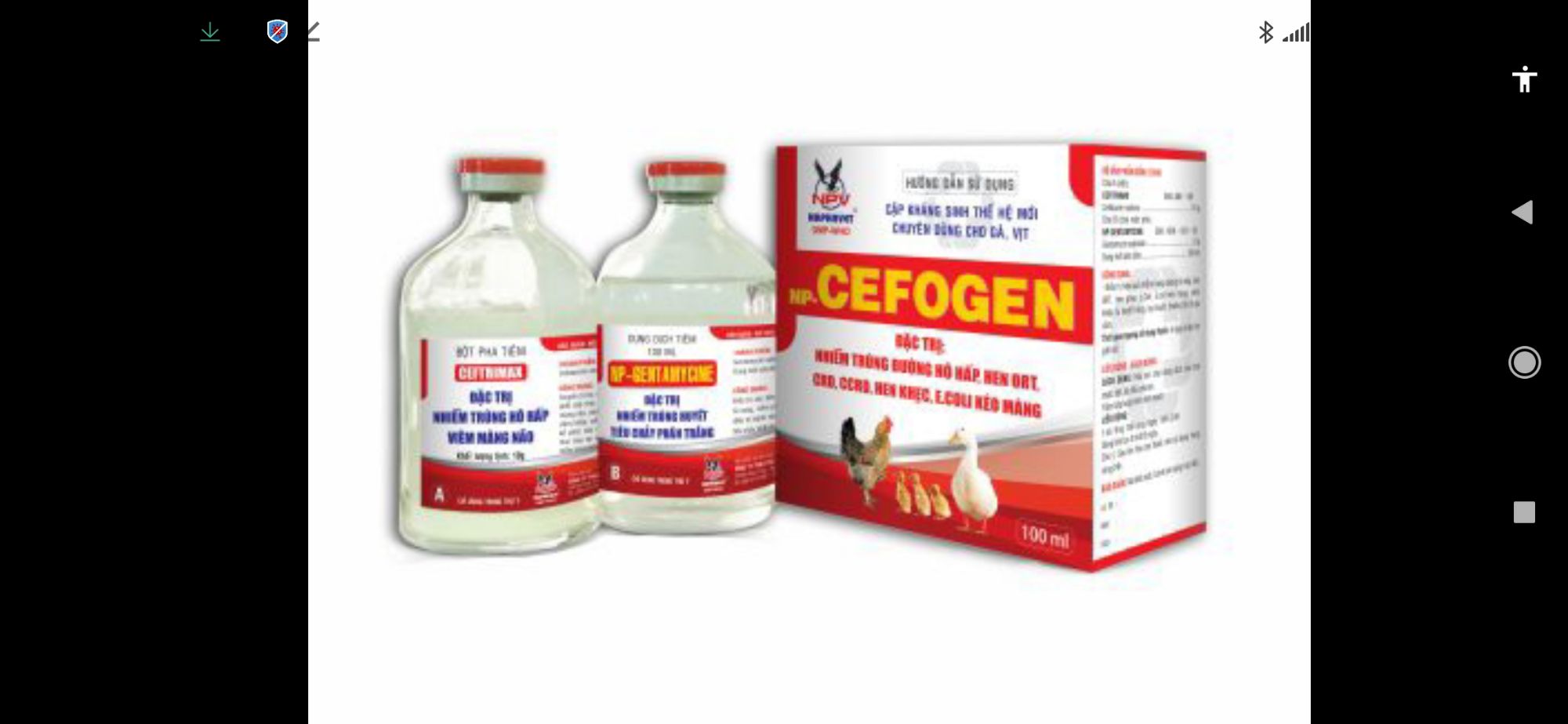 Cefogen Cặp pha tiêm ecoli bại huyết trên vịt