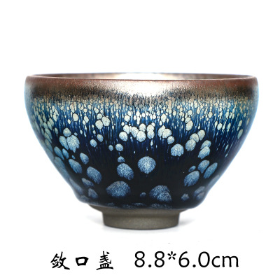 Chén Thiên Mục Du Trích