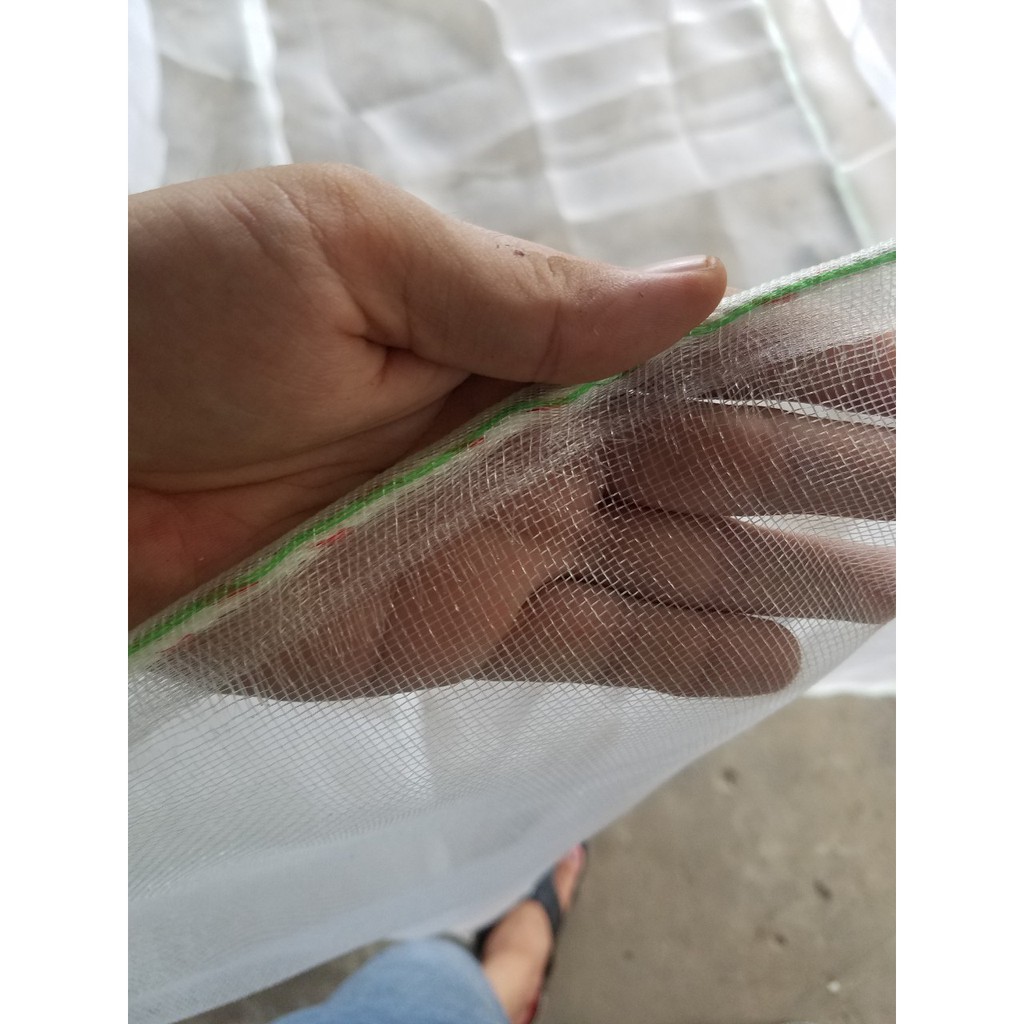 Tráng (vèo) lưới cước nuôi ốc nhồi, ếch...