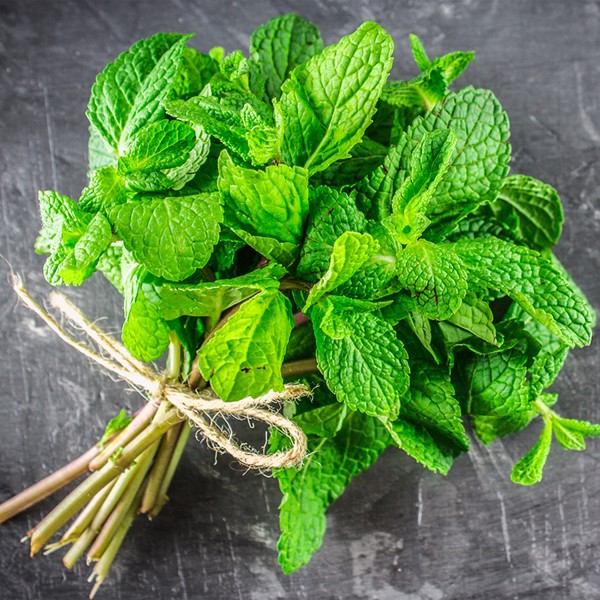 Mint seed-mint spicy mint (100 seeds pack)-shallow gold