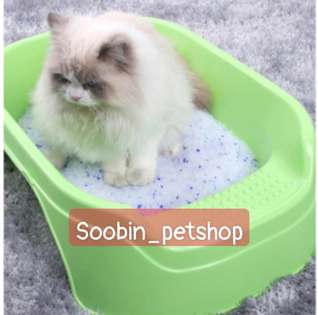 Cát thủy tinh cho mèo 3.8L (Cat Litter silicon )