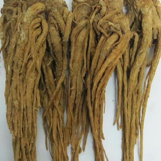 1kg sâm đương quy củ khô
