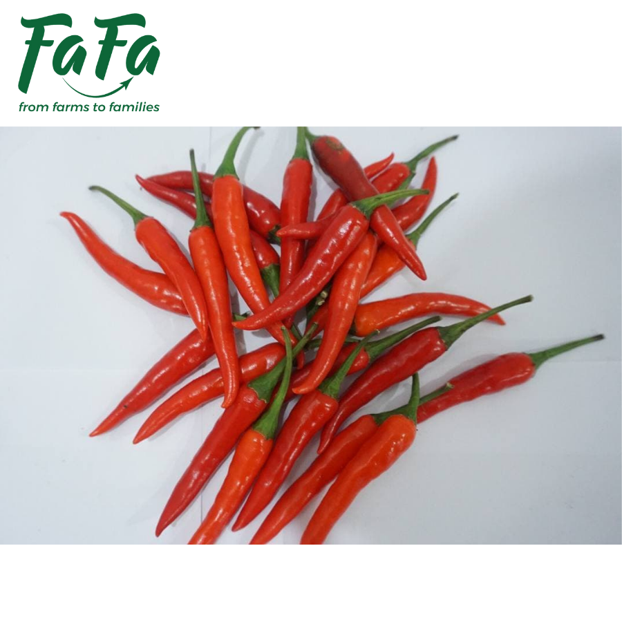 Ớt sừng đỏ FAFA 100gr/túi