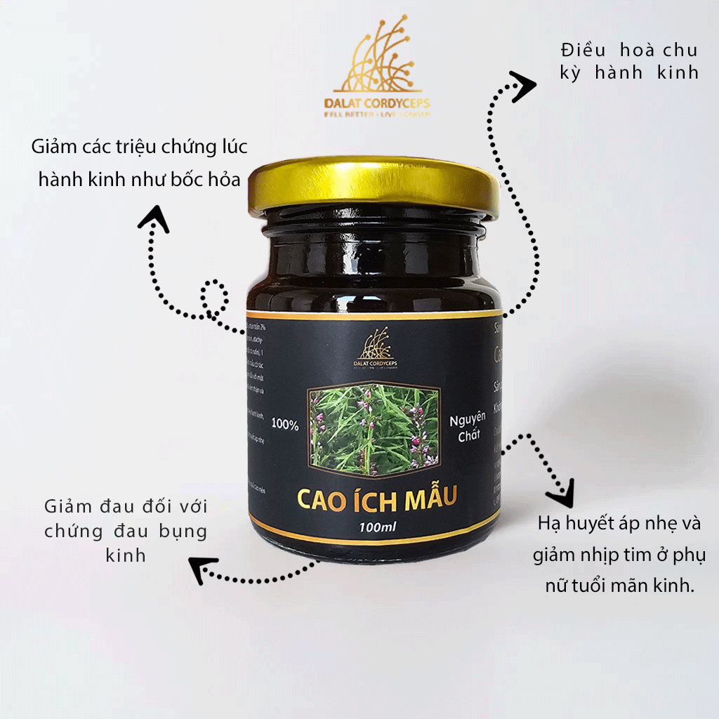 Cao ích mẫu - Dalat Cordyceps