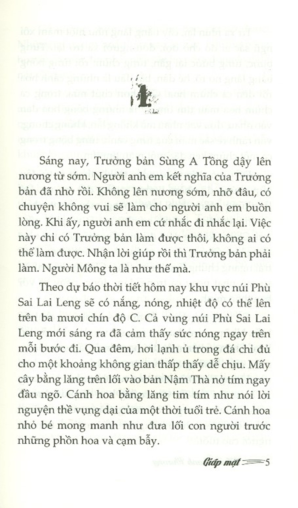 Giáp Mặt - Tiểu Thuyết