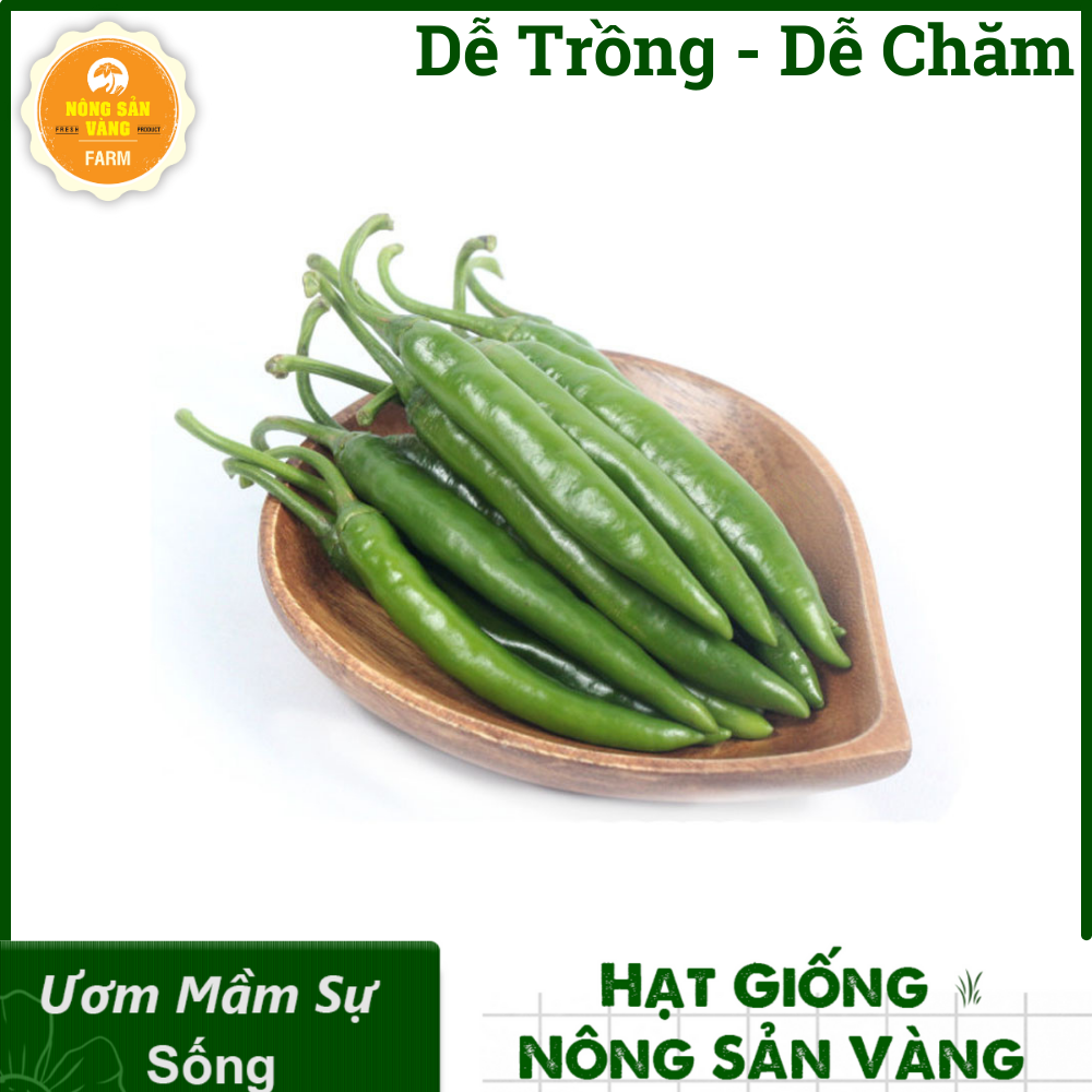 Tổng Hợp Các Hạt giống Ăn Quả, Củ, Nảy Mầm Cao, Sinh Trưởng, Phát Triển Khỏe - Nông Sản Vàng
