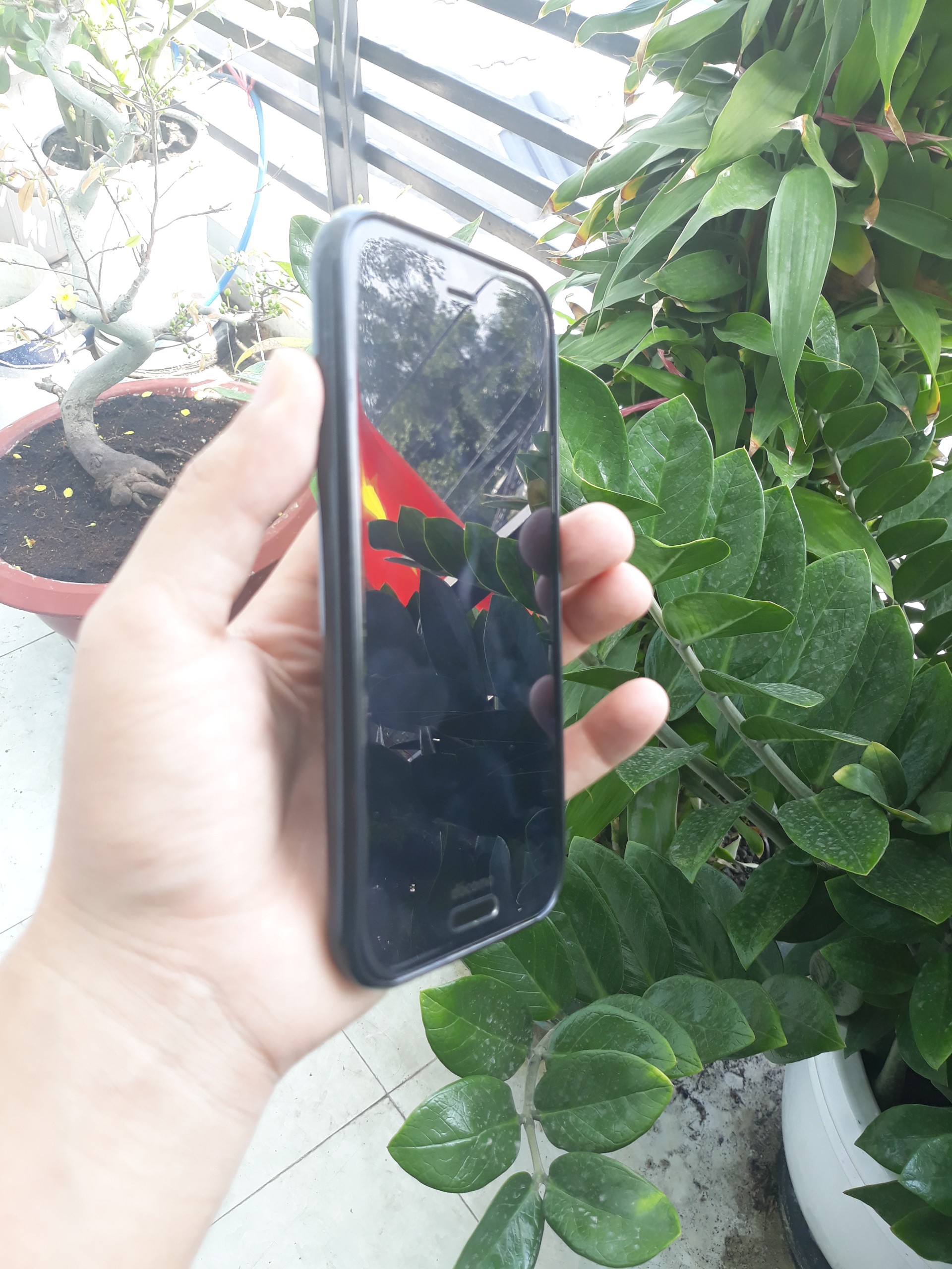 Ốp lưng Sharp R1 / SHV39