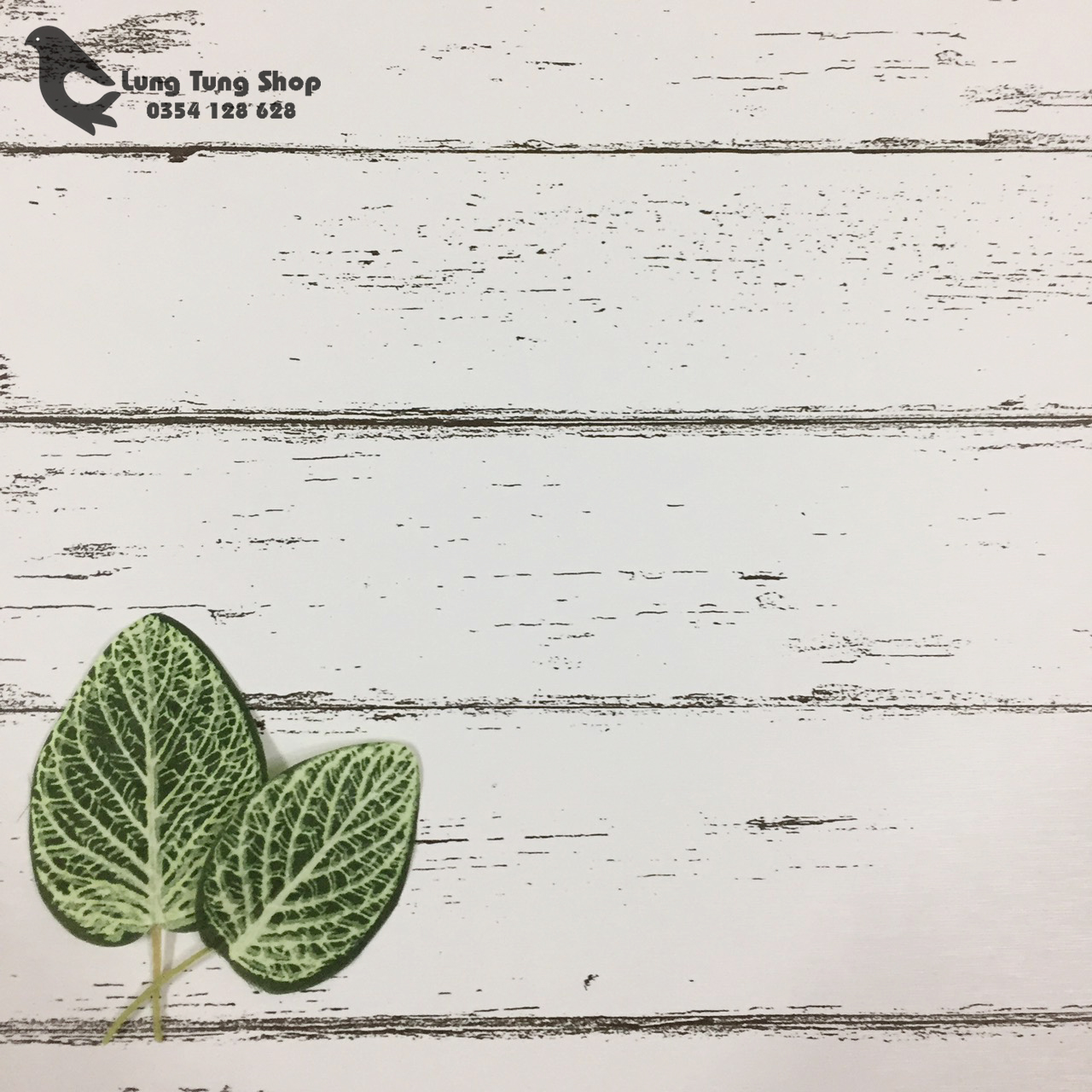 Lá cây nhỏ làm đạo cụ trang trí chụp hình sản phẩm