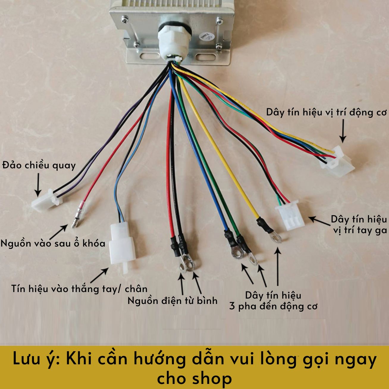 Combo chế xe điện động cơ 48V 500W